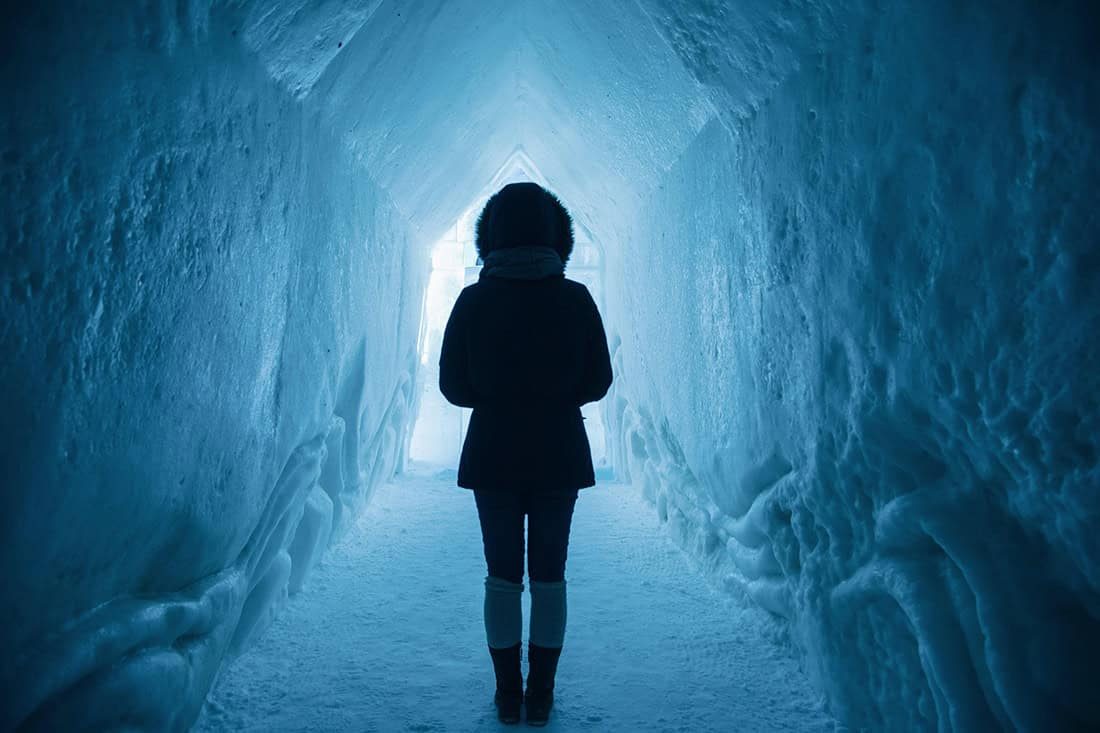 Copeland Counselling - Freeze Response To Trauma